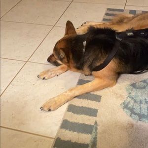 Meet your Posher, Lori